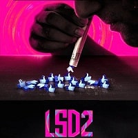 LSD 2 Love Sex aur Dhokha 2 (2024)